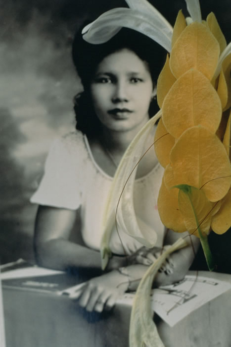 Aunt winnie, variant w:yel